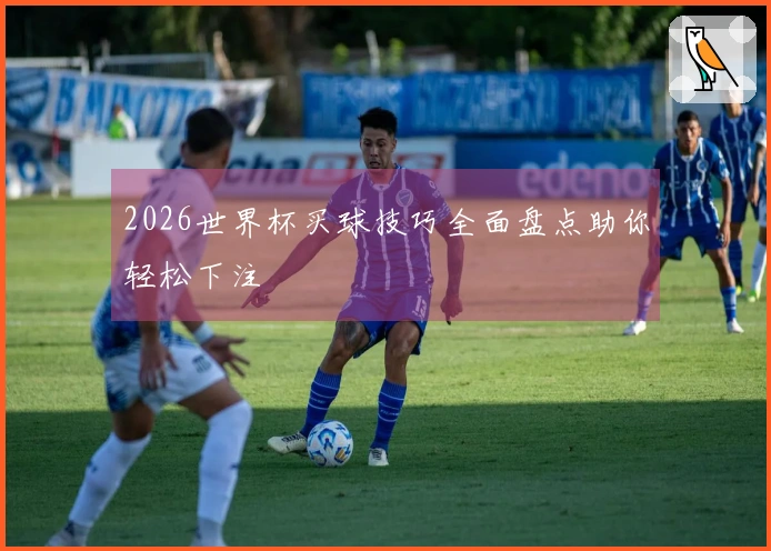 2026世界杯买球技巧全面盘点助你轻松下注