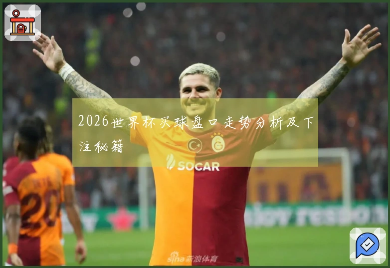 2026世界杯买球盘口走势分析及下注秘籍