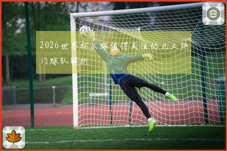 2026世界杯买球值得关注的几大热门球队解析