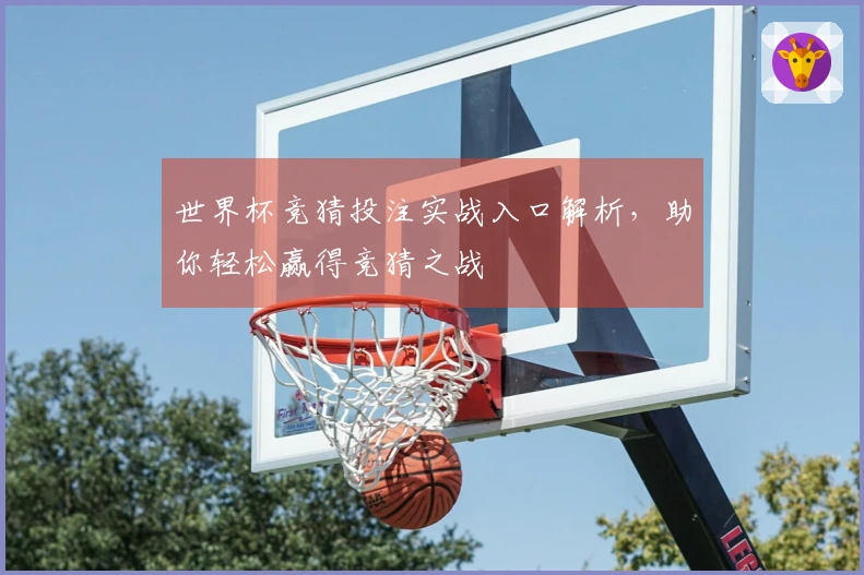 世界杯竞猜投注实战入口解析，助你轻松赢得竞猜之战
