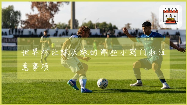 世界杯让球买球的那些小窍门和注意事项