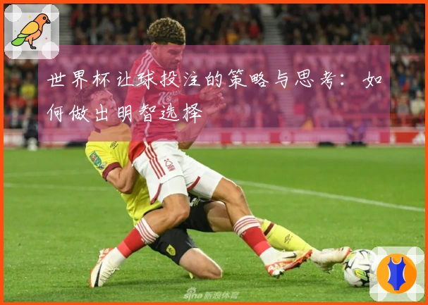 世界杯让球投注的策略与思考：如何做出明智选择