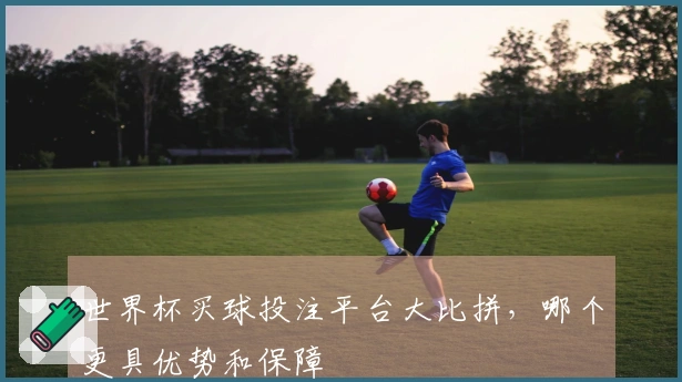 世界杯买球投注平台大比拼，哪个更具优势和保障