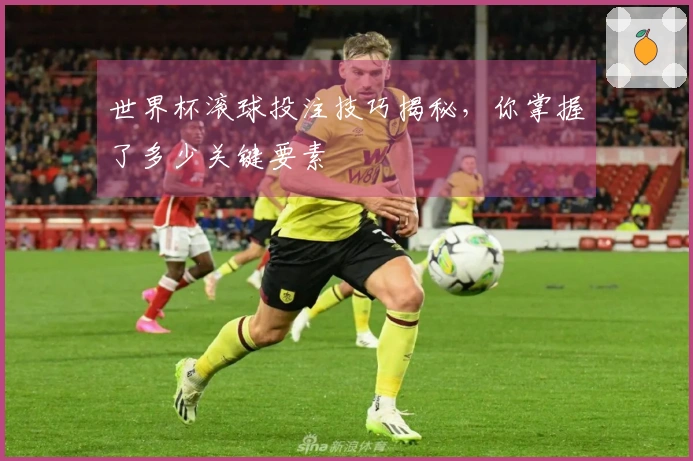 世界杯滚球投注技巧揭秘，你掌握了多少关键要素
