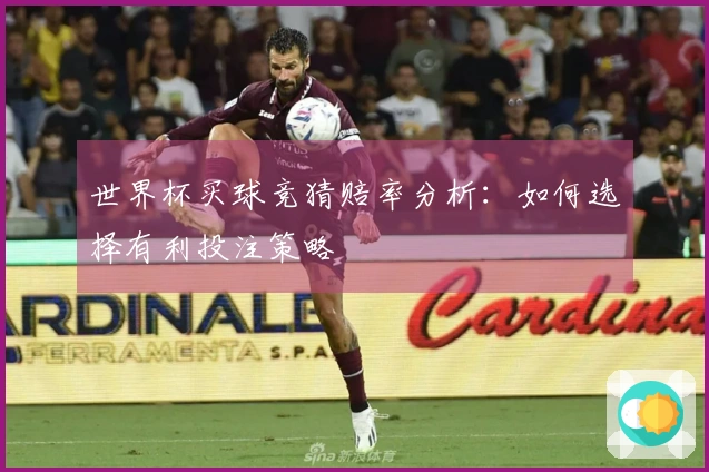 世界杯买球竞猜赔率分析：如何选择有利投注策略