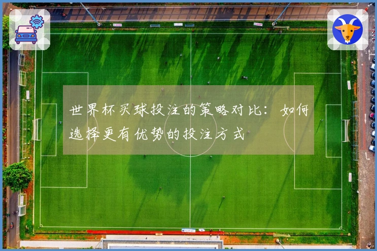 世界杯买球投注的策略对比：如何选择更有优势的投注方式