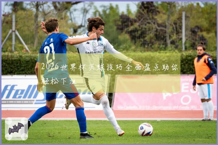2026世界杯买球技巧全面盘点助你轻松下注