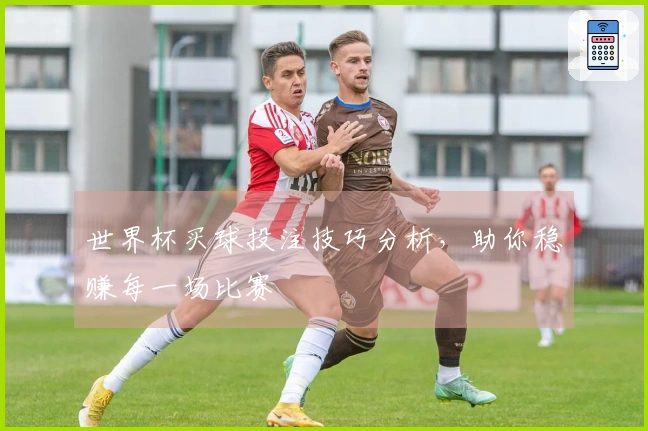 世界杯买球投注技巧分析，助你稳赚每一场比赛