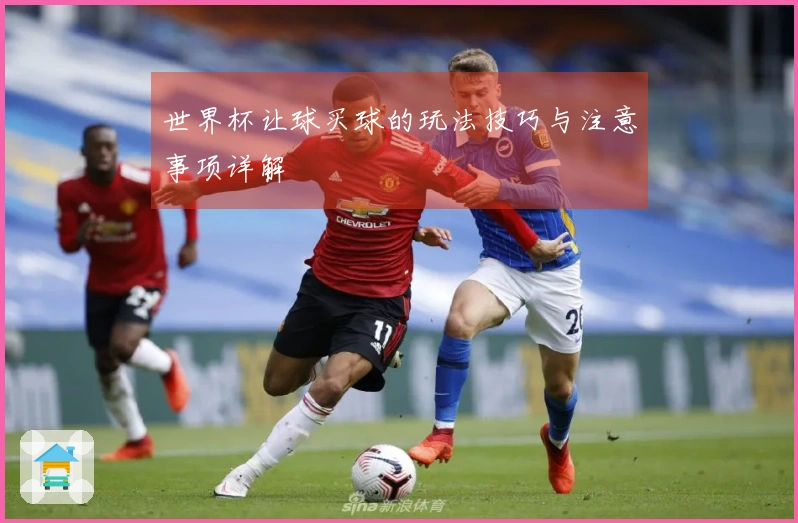 世界杯让球买球的玩法技巧与注意事项详解