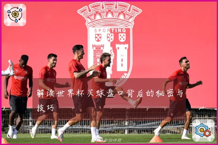 解读世界杯买球盘口背后的秘密与技巧