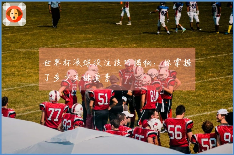 世界杯滚球投注技巧揭秘，你掌握了多少关键要素