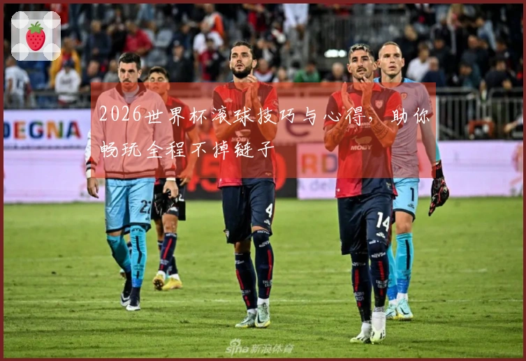 2026世界杯滚球技巧与心得，助你畅玩全程不掉链子