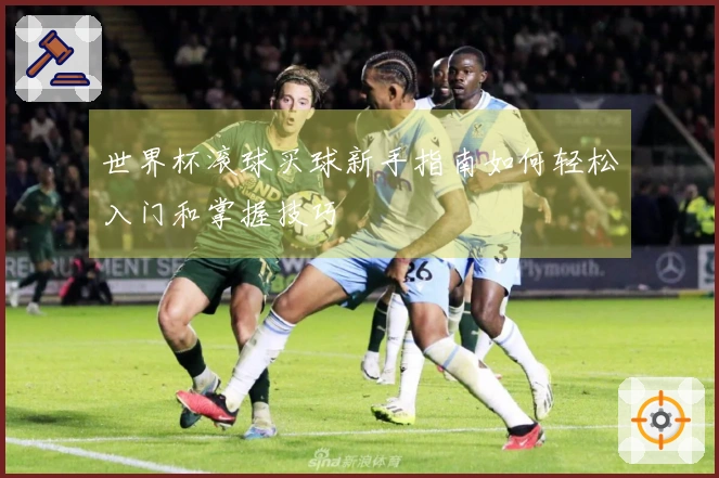 世界杯滚球买球新手指南如何轻松入门和掌握技巧