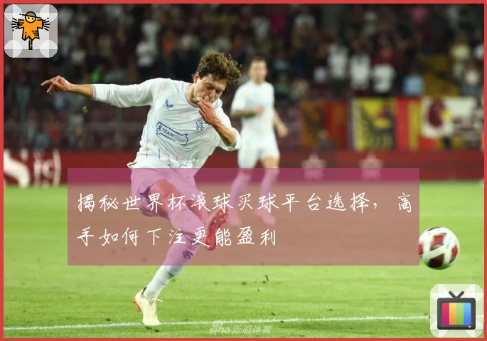 揭秘世界杯滚球买球平台选择，高手如何下注更能盈利